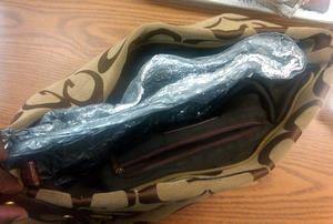 1130shoplifting pouch