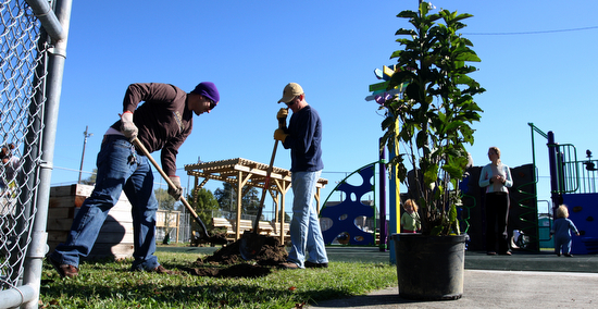 Volunteers plant a tree while children play behind them at Wisner Playground in November 2010. (UptownMessenger.com file photo by Sabree Hill)