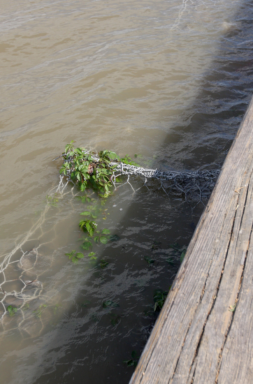 RisingRiver 0004
