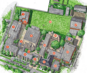 newman site