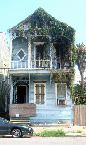 ncdc 2124 baronne