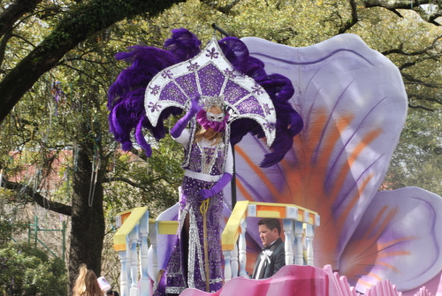 iris captain