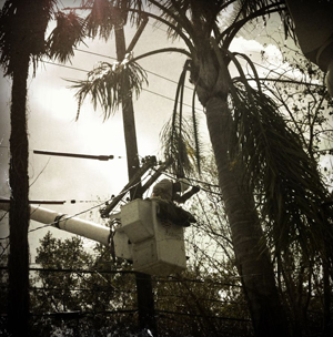 ARNAEntergy