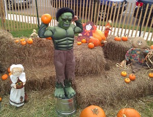 pumpkin patch
