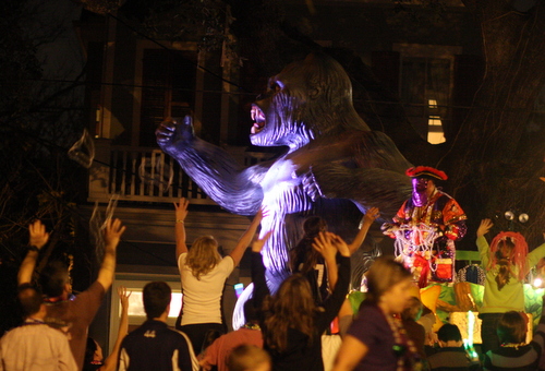 bacchus congo