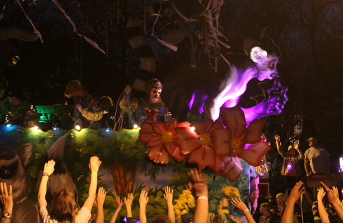 bacchus madagascar