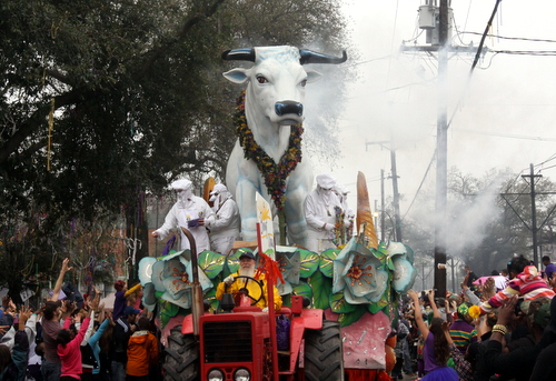 rex boeuf gras