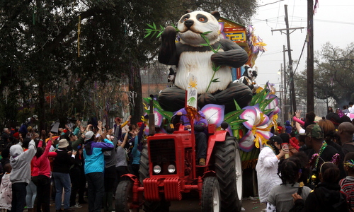 rex panda