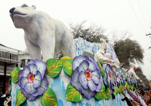 rex polar bear