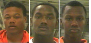 garden district rape suspects