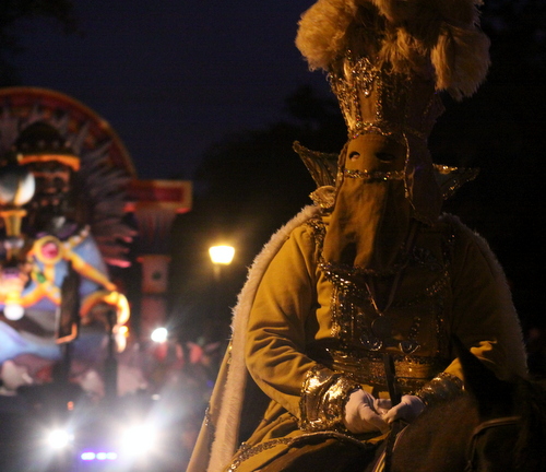 A rider on horseback in the Krewe of Hermes. (Robert Morris, UptownMessenger.com)