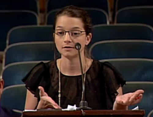 Lindsay Hellwig, a co-owner of the Courtyard Brewery, speaks to the City Planning Commission on Tuesday afternoon.