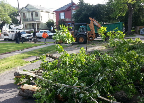 City workers remove pieces Thursday morning of a large tree that fell across Short Street near Sycamore during Wednesday evening's wind storms.