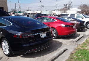 A row of Teslas in the parking lot of Company Burger on Freret Street for a local owners' meetup in February. (photo courtesy of David Wolf)
