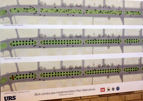 Possible options for the South Claiborne Avenue landscaping. (UptownMessenger.com)