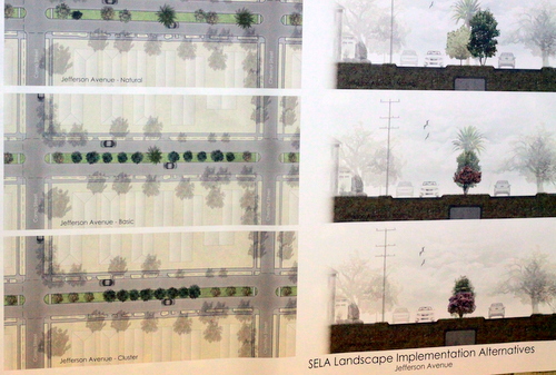 Possible options for the Jefferson Avenue landscaping. (UptownMessenger.com)
