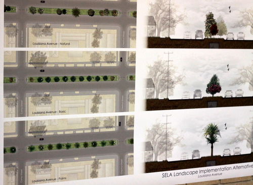 Possible options for the Louisiana Avenue landscaping. (UptownMessenger.com)