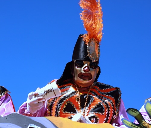 The Krewe of Rex rolls on St. Charles Avenue. (Robert Morris, UptownMessenger.com)