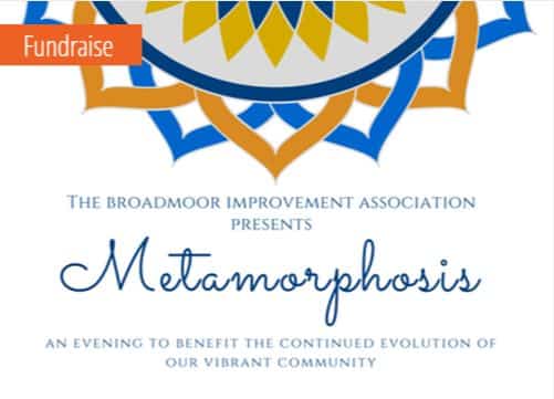 Broadmoor Metamorphosis