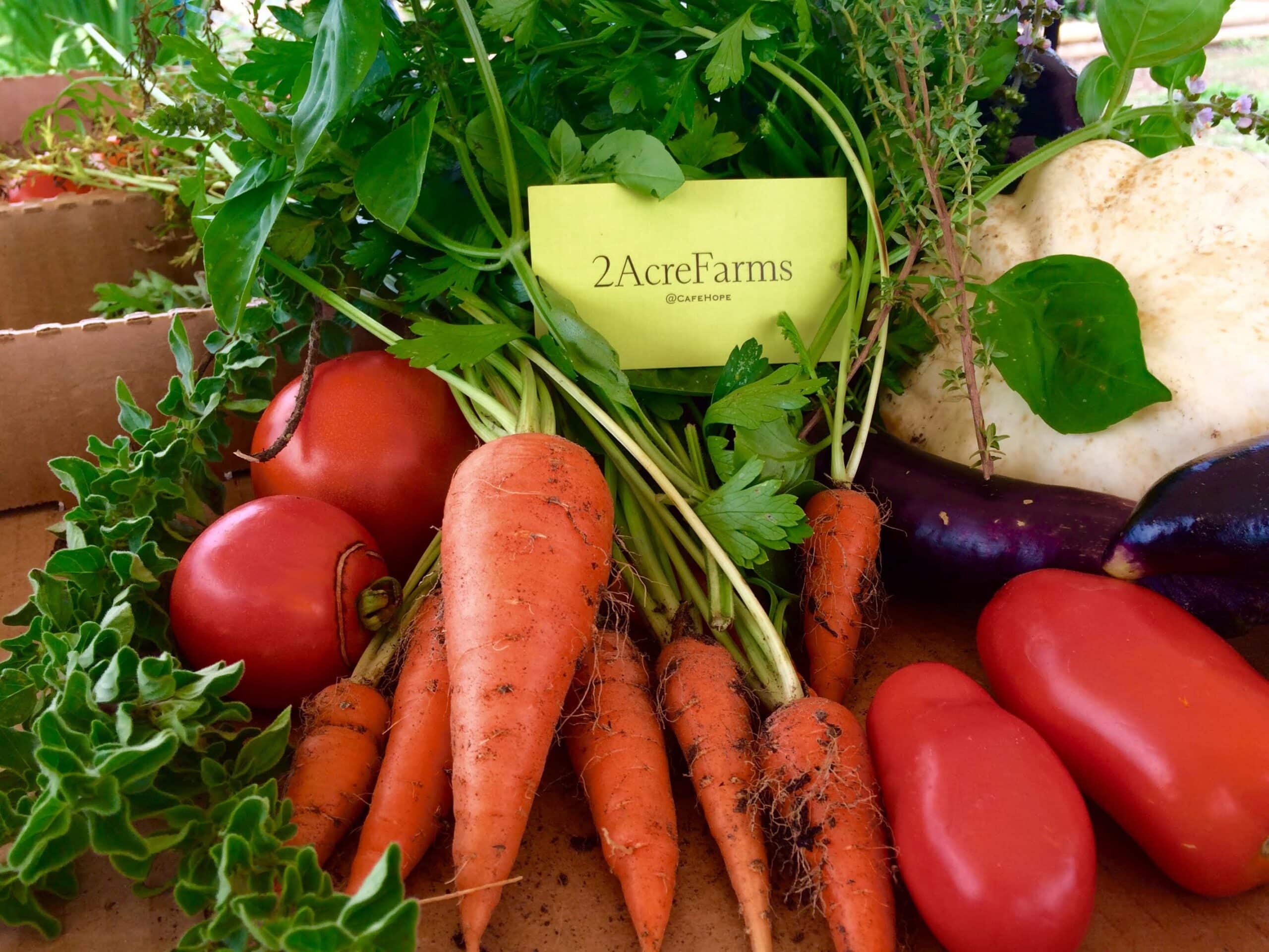 Kristine Froeba PickYourOwn Veggies at Two Acre Farms on Saturday