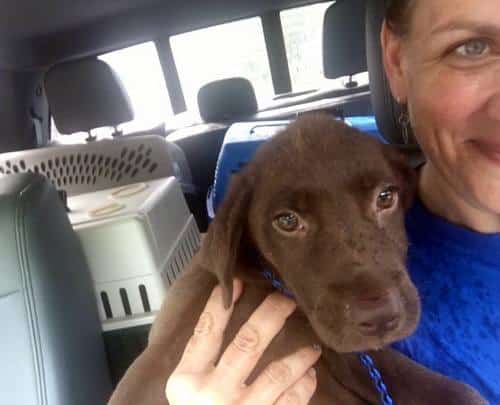 Michelle Ingram of Zeus' Place smiles with a furry passenger rescued from shelters in the flood zone. (via Facebook)