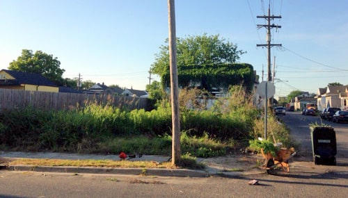 The corner lot at the beginning of the summer. (photo by Jean-Paul Villere)