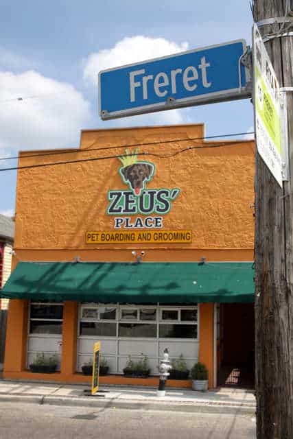 Advertiser Zeus Place Now Serving Pets Downtown And Rescues