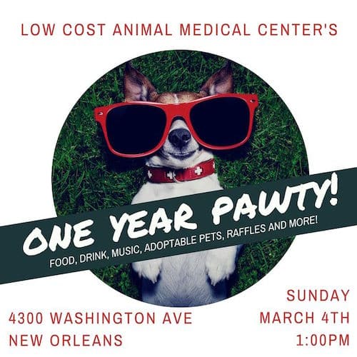 Pawty' Time: Low Cost Animal Medical Center celebrates one year anniversary  | Uptown Messenger