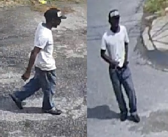Willow Street auto theft suspect