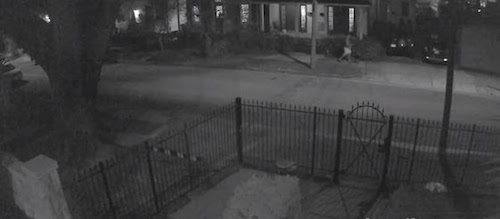 Maple Street auto burglary