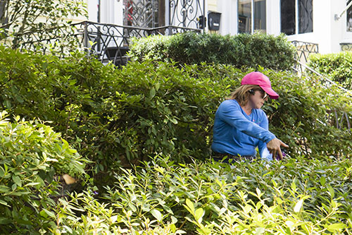 Shelley Midura, Your Happy Garden