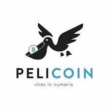 Pelicoin makes cryptocurrency accessible at ATMs around New Orleans (sponsored)